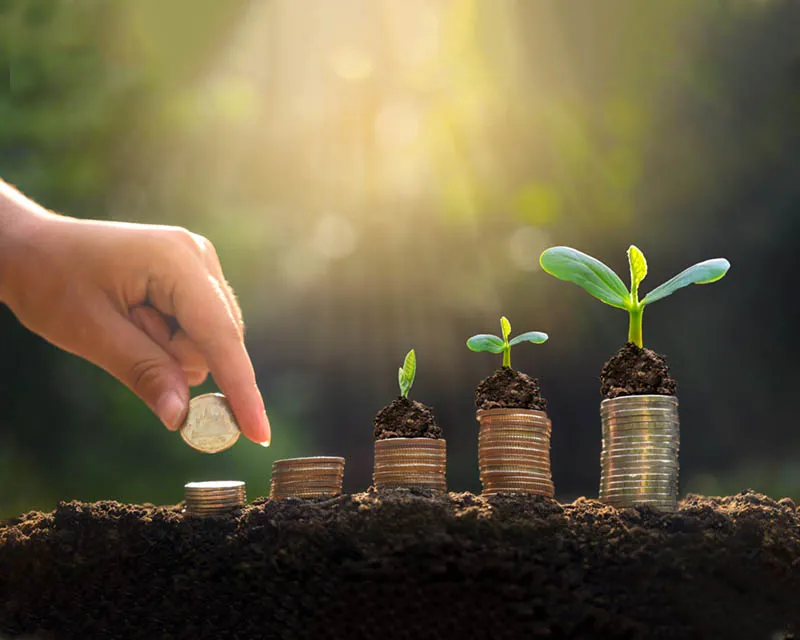 منظمة التنمية الاقتصادية والاجتماعية